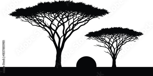 African Acacia Trees Silhouette on Horizon, Savanna Landscape Sunset or Sunrise Vector Illustration, Black and White Graphic Design, Nature Scenery.