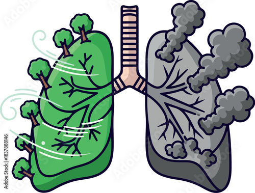 Illustration of a healthy green lung with trees and a polluted gray lung with smoke, symbolizing the contrast between clean and dirty air, against a clean white background.
