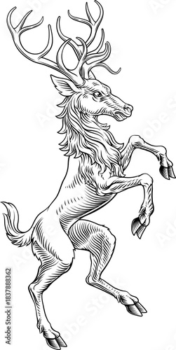 A heraldry coat of arms cre...