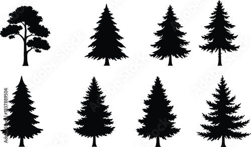 Vector tree silhouettes set, eight distinct tree shapes, mixed broadleaf and conifer silhouettes, botanical identification, forestry icons, minimalist nature design