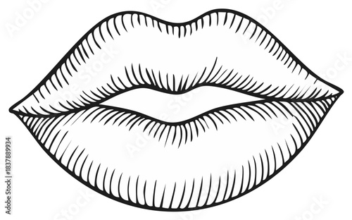 Sensual Female Lips Line Art Engraving Style Drawing Illustration