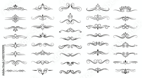 Set of ornate vintage calligraphic dividers and page separators with a textured effect for elegant document and certificate design.