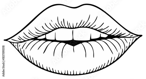 Close up outline drawing of human lips with teeth showing and textured detail
