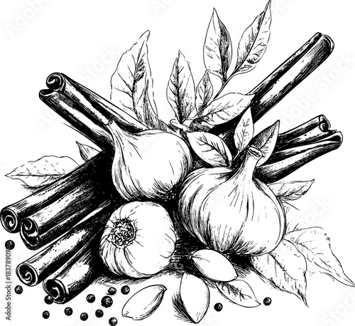 Intricate sketch of spices including cinnamon sticks and garlic bulb.