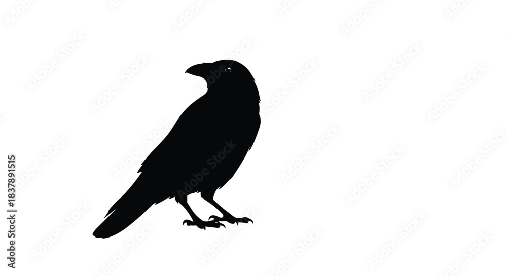 Naklejka premium Simple black silhouette of a standing crow or raven isolated on a clean white background for a minimalist design.