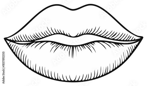 Stylized Drawing of Lips with Detailed Texture and Defined Outline