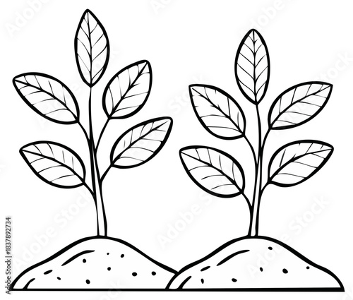 Two young seedlings growing from mounds of earth, line art illustration