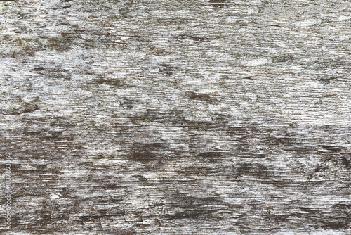 close up of wooden texture for background                                                                                                                                                               
