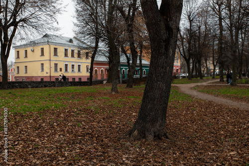 An overcast day in a city park with leafless trees and distant buildings. 