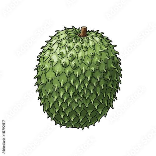 soursop fruit isolated on white background