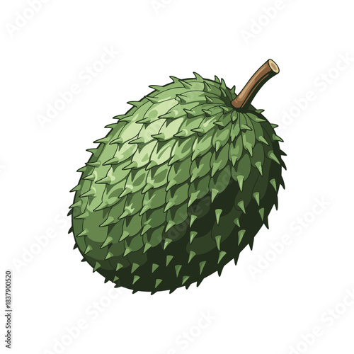 soursop fruit isolated on white background