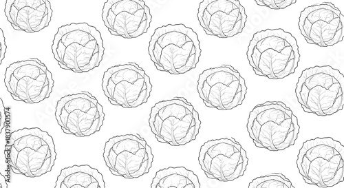 Seamless black and white pattern featuring hand-drawn cabbage heads, a perfect background for healthy food and vegetable themes.