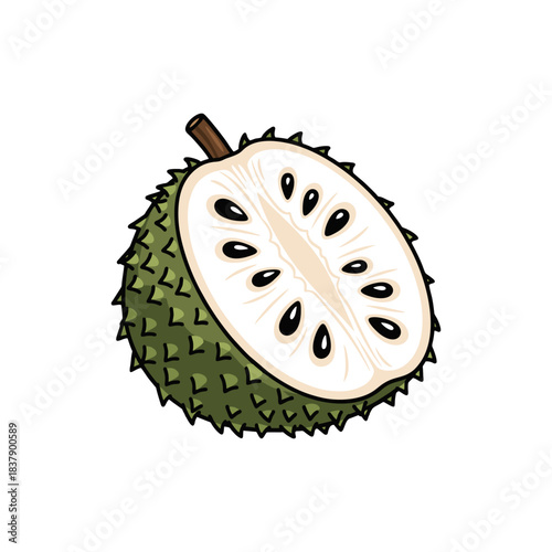 soursop fruit isolated on white background