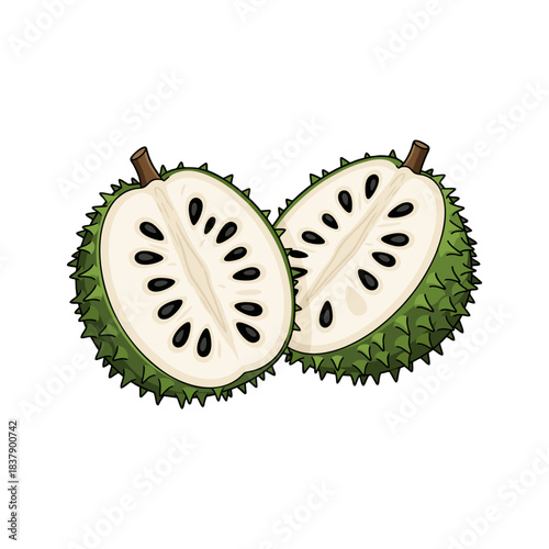 soursop fruit isolated on white background