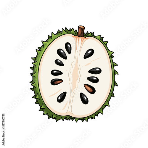 soursop fruit isolated on white background