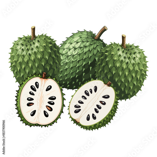 soursop fruit isolated on white background
