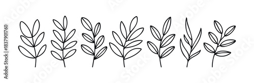 Collection of minimalist line drawings of botanical branches with leaves, perfect for nature inspired graphic projects and organic branding concepts.