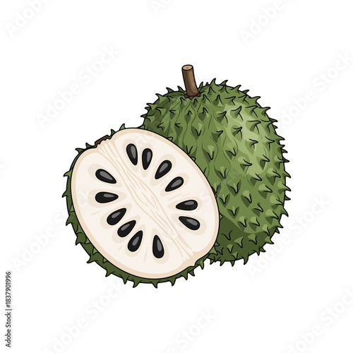 soursop fruit isolated on white background