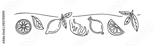 Line drawings of lemons and leaves forming a decorative border for fresh citrus fruit themed projects and summer refreshment promotions