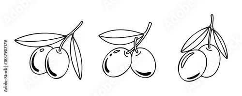 Collection of three simple line drawings featuring olives on branches with leaves, perfect for use in food packaging, menus, or healthy lifestyle branding applications.