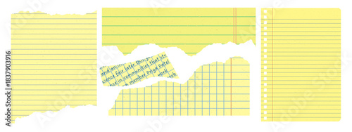 Torn yellow notebook paper with jagged edges