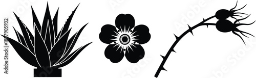 Botanical plant and flower vector icon set for natural themes and web design isolated on white background