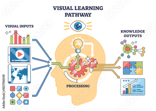 Visual learning pathway shows how inputs become outputs through processing, head silhouette, gears, and lightbulb highlight cognition and insight. Outline diagram