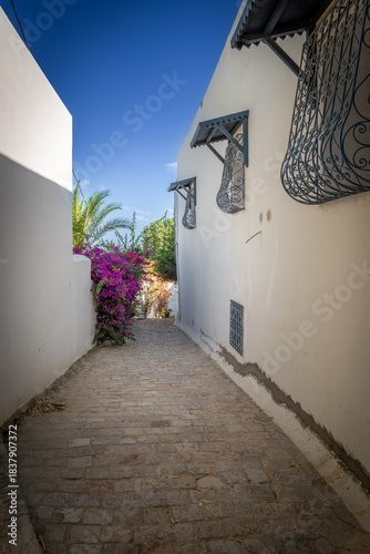 calles con puertas pintorescas en Tunez capital de Tunez