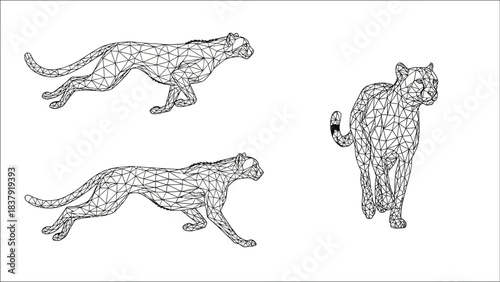 Wireframe cheetah depictions showcase different poses and perspectives of the feline