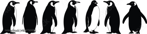 Seven black and white penguin silhouettes standing in a row animal bird