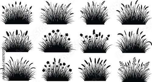 Twelve Black Silhouette Clumps of Grass and Wildflowers white background