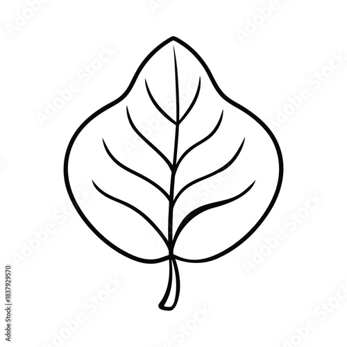 Minimal fiddle leaf fig leaf line art with clean indoor botanical style Vector illustration