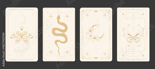 Tarot card frame set spiritual esoteric reverse border light magic sacred cover card. Mystic elements moon with line flowers, sun, magic moth, snake fantasy sign.