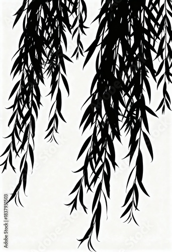 Weeping Willow Branches Silhouette. Nature Texture Pattern