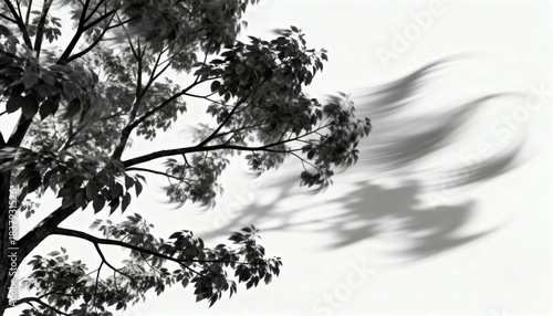 Tree Branches Blowing in Wind. Motion Blur Stormy Nature