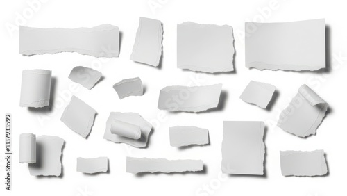 Wallpaper Mural Scraps of Various Size Ripped Torn White Paper Pieces Isolated on White Background Torontodigital.ca