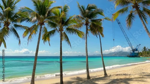 Tropical Paradise Beach with Palm Trees and Turquoise Ocean Waters.