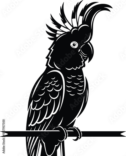 Authentic Traditional Indian Cuisine Thali, Delicious Assortment of Curries and Rice on a Rustic Wooden Background, Top View Flat Lay Still Life.