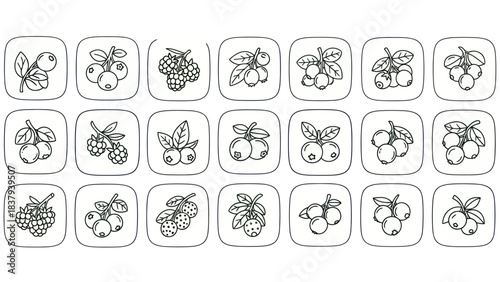 Berry icon set vector illustrations of various berries on white background