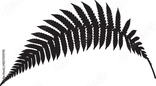 Black Silhouette of a Fern Frond leaf plant