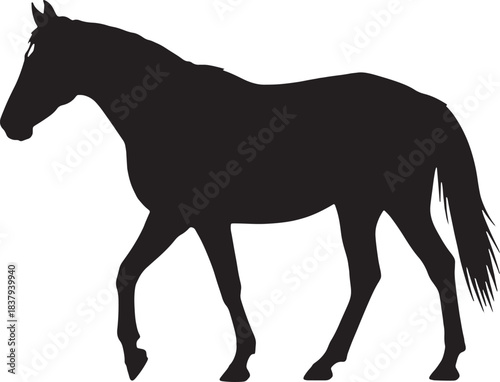Black silhouette of a horse walking animal gait