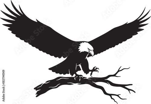Silhouette of a bald eagle perched on a branch with wings spread Keywords: eagle, bald eagle