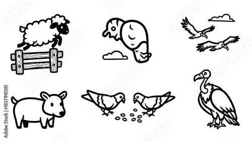 Black and white animal illustrations sheep eagle pigeon vulture drawings
