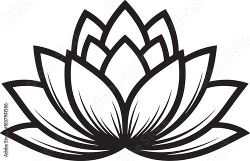 Stylized black and white lotus flower illustration Keywords: lotus, flower, bloom, blossom