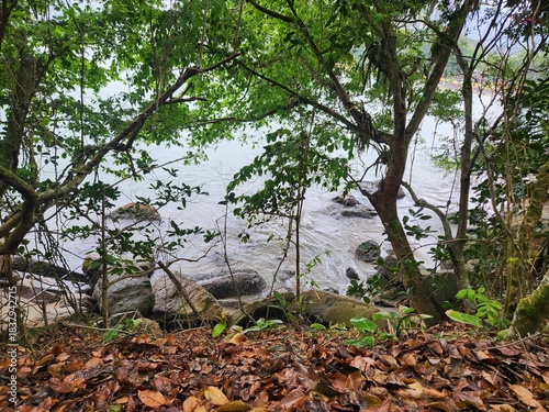 A sunny day at the beach in Ilha bela, Brazil.