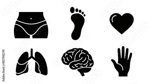 Black anatomical vector icons depicting human organs and body parts on white