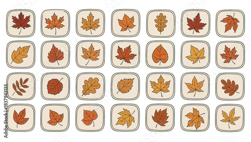 Autumn leaf icons set collection of various fall season foliage designs