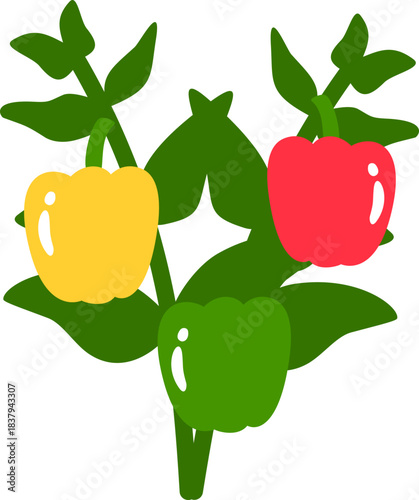 Sweet Pepper Plant, Vegetable Flat Style Illustration