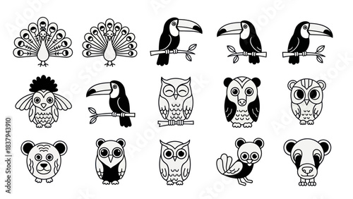 Black and white animal illustrations birds owls pandas isolated vector set
