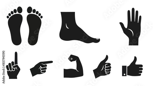 Black silhouette hand feet arm icon set isolated on white background
